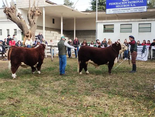 tn_IMG_20240530_143852052