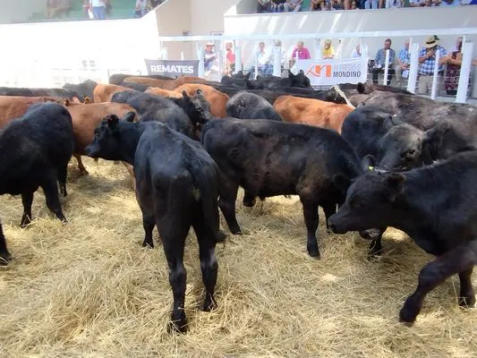 tn_IMG_20240221_135837032