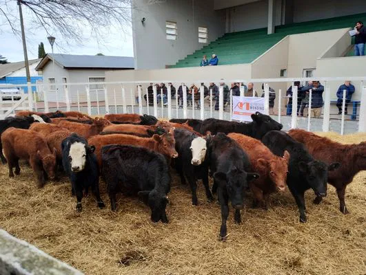 tn_IMG_20240626_135034382_HDR