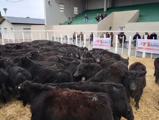 tn_IMG_20240731_124256605_HDR