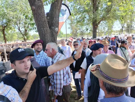 tn_IMG_20241026_120036615_HDR