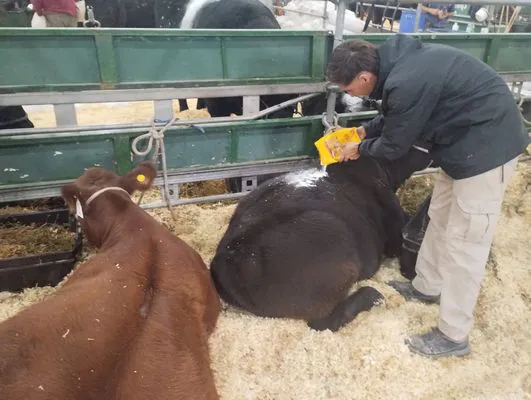 tn_IMG_20250519_112951901