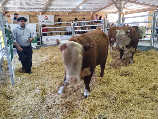 tn_IMG_20240906_151226147