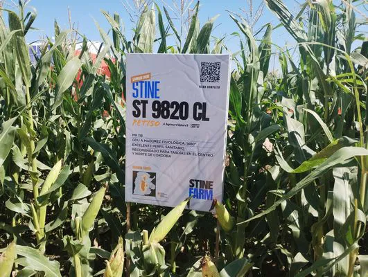 tn_IMG_20250311_112402261_HDR