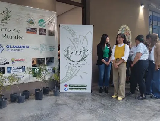 tn_IMG_20241015_191611682