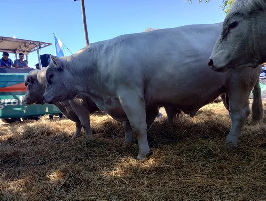 tn_IMG_20241026_161514969_HDR