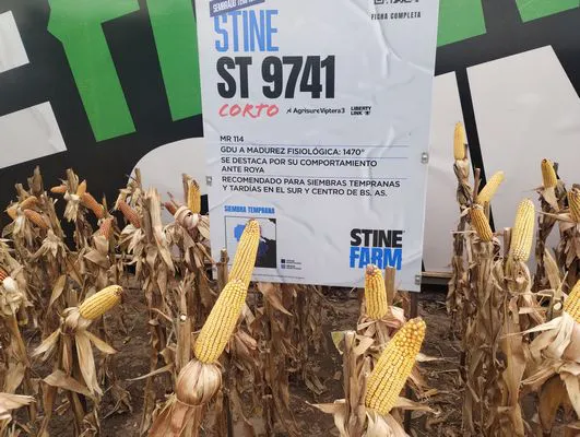 tn_IMG_20250311_163814561