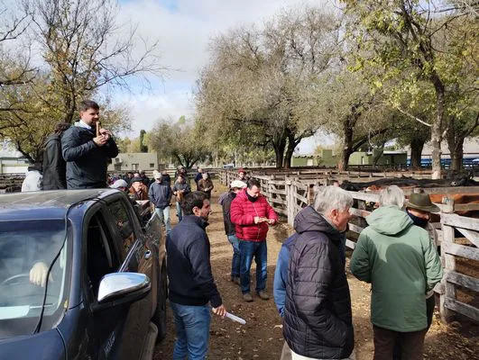 tn_IMG_20240529_121011832