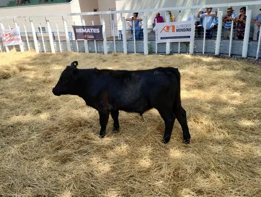 tn_IMG_20240221_135234394_HDR