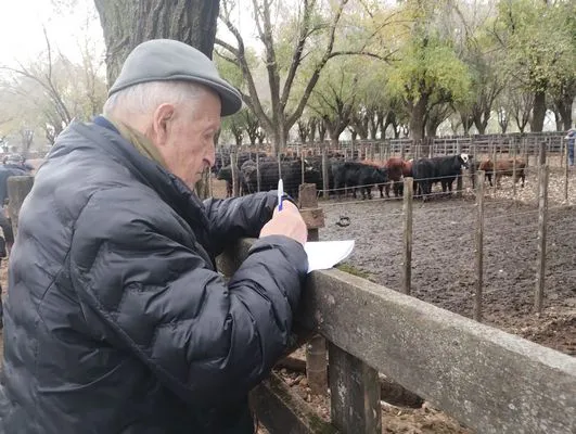 tn_IMG_20250602_160331390