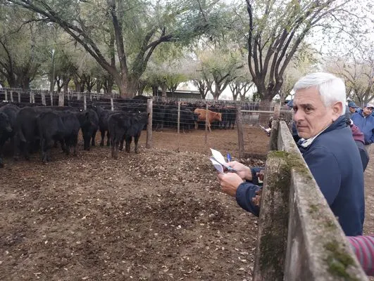 tn_IMG_20250602_161323148