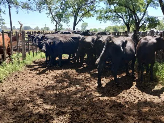 tn_IMG_20241211_113610532_HDR