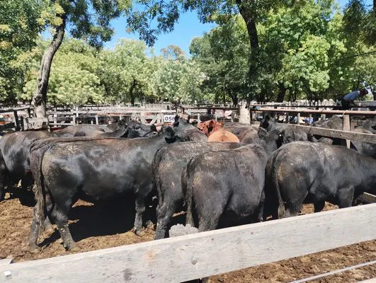 tn_IMG_20250122_112840548