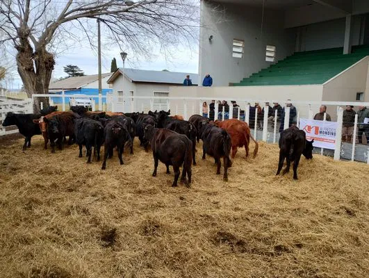 tn_IMG_20240626_135559325_HDR