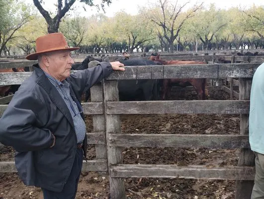 tn_IMG_20250425_154130853