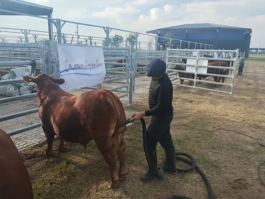 tn_IMG_20250604_154945568