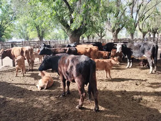 tn_IMG_20241008_155657171