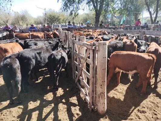 tn_IMG_20240406_150601988