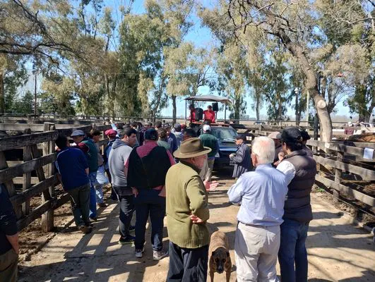 tn_IMG_20240829_120740843_HDR