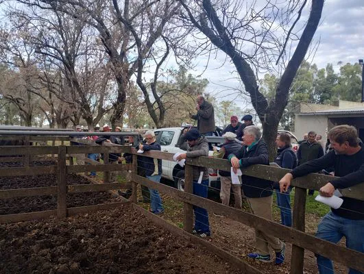 tn_IMG_20250505_155420917_HDR