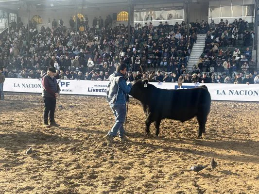 LOBO14
