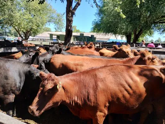 tn_IMG_20240214_153303540_HDR