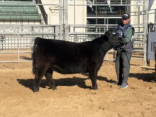 L14