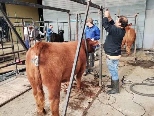 tn_IMG_20250520_105631439