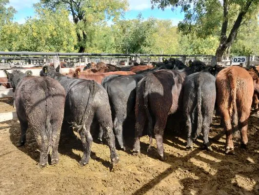 tn_IMG_20250404_145031029_HDR