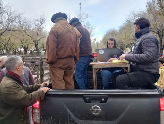 tn_IMG_20250602_154753403_HDR