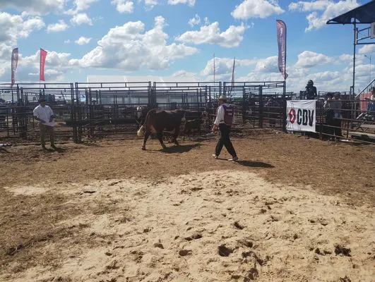 tn_IMG_20250313_150430925