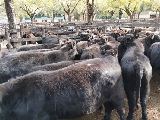 tn_IMG_20240430_155808185