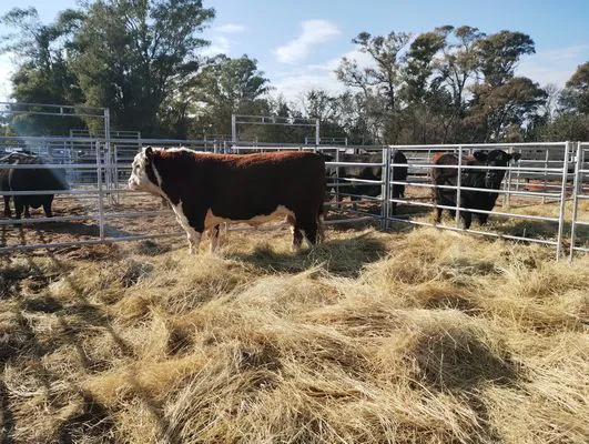 tn_IMG_20240711_112612062