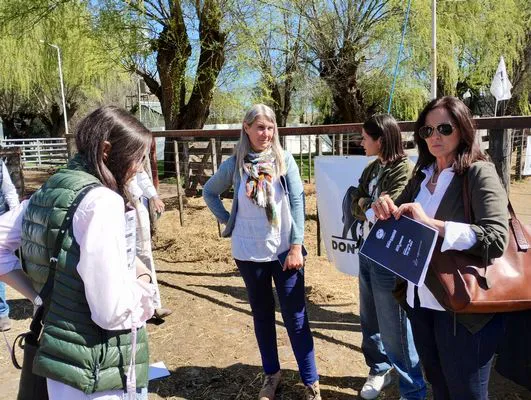 tn_IMG_20240907_121708940_HDR