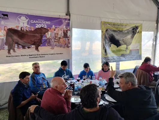 tn_IMG_20240815_124201668_HDR