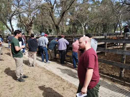 tn_IMG_20240925_151027904