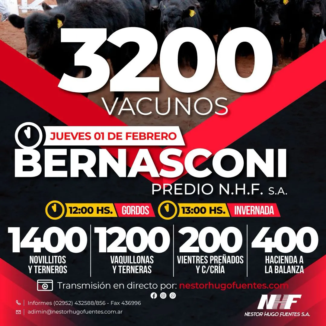 WhatsApp Image 2024-01-29 at 09.45.47