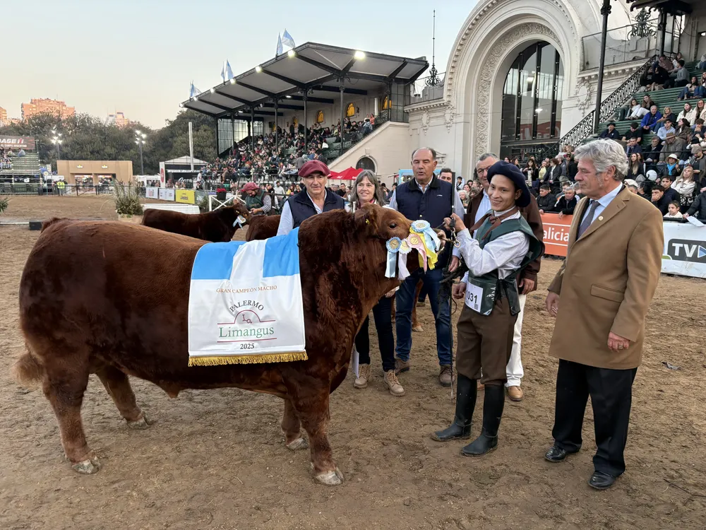 LOS PIRULOS - GCM LIMANGUS