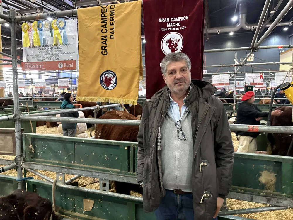 NACHO LANDIVAR - CABAÑA SAN MIGUEL - SHORTHORN