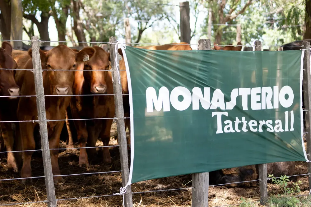 MONASTERIO