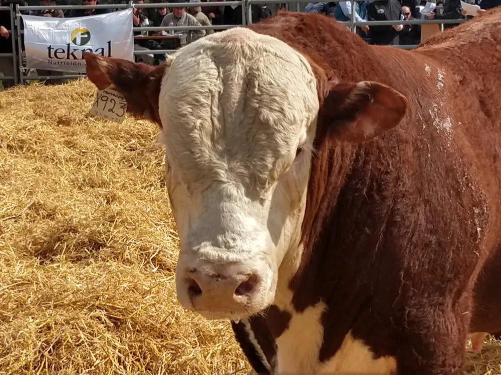 IMG_20230929_151035534_HDR