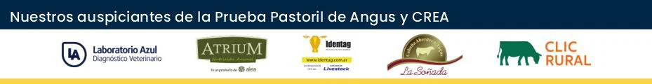 BANNER 2 - PRUEBA PASTORIL 2026
