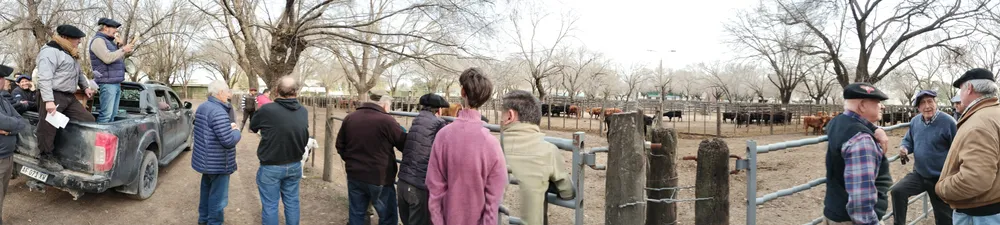 IMG_20240718_160440726