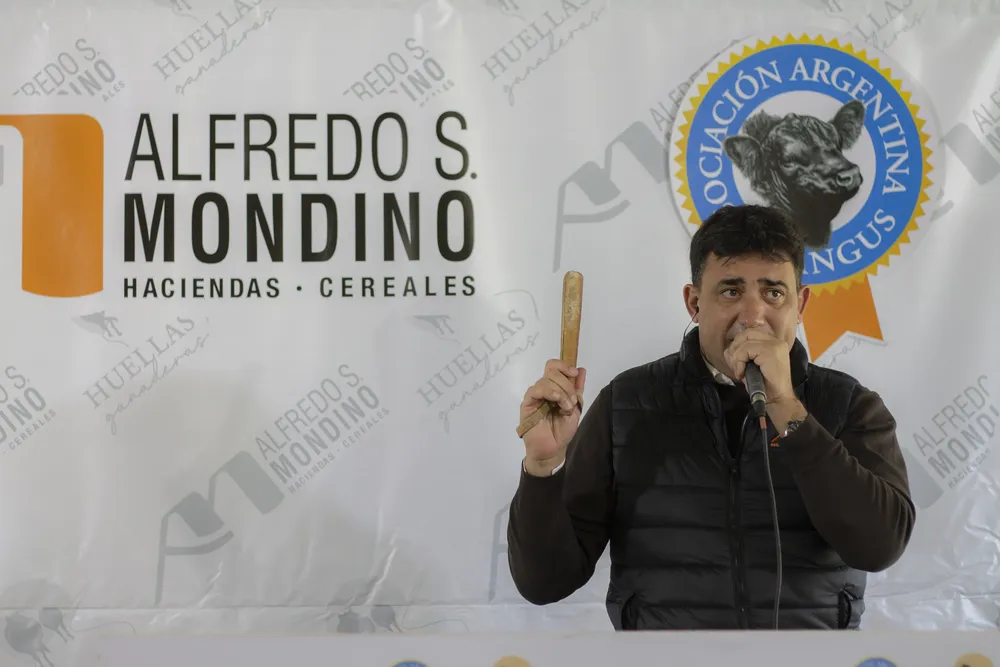 ROBERTO MONDINO
