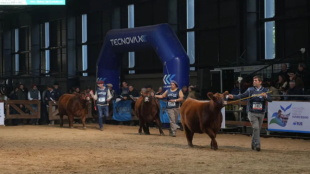 expo-angus-otono-cabanas