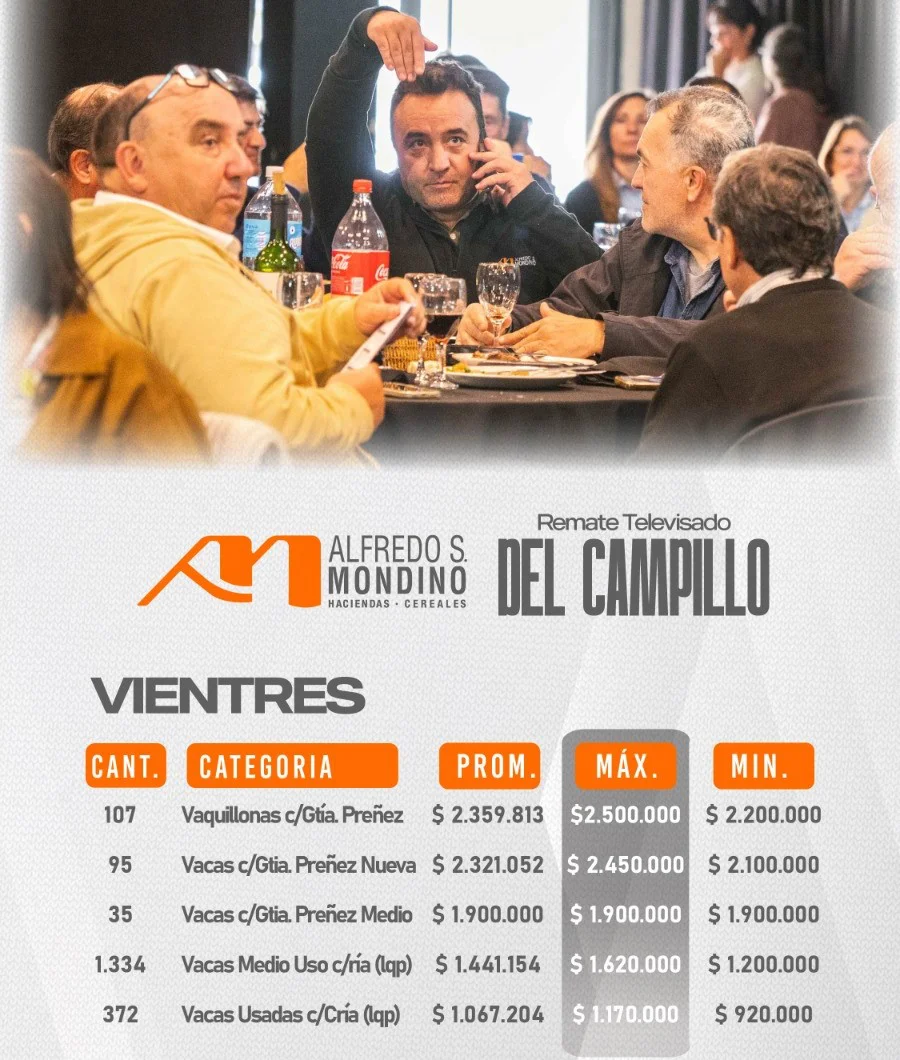 DEL CAMPILLO5