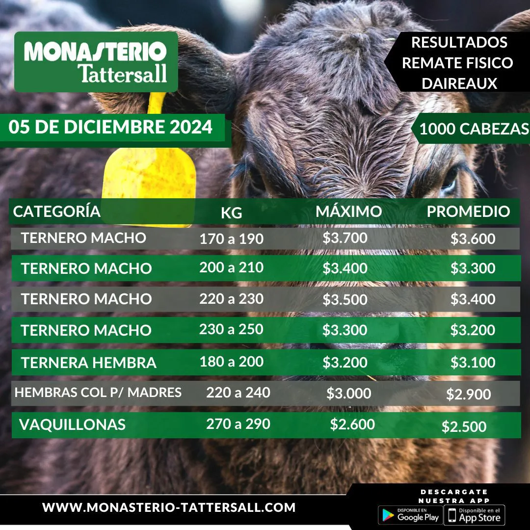 MONASTERIO DAIREAUX 5