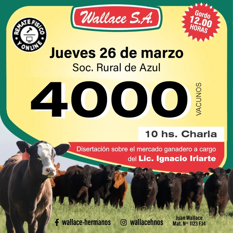 WhatsApp Image 2026-03-25 at 9.41.11 AM