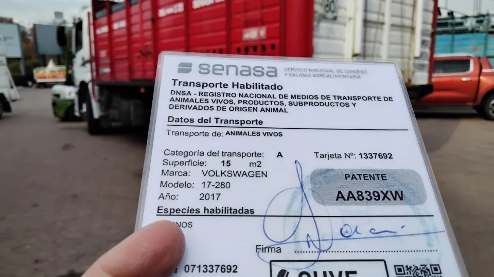 WhatsApp Image 2025-09-19 at 8.18.14 AM