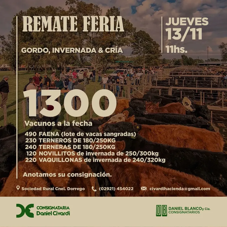 WhatsApp Image 2025-11-12 at 12.03.13 PM